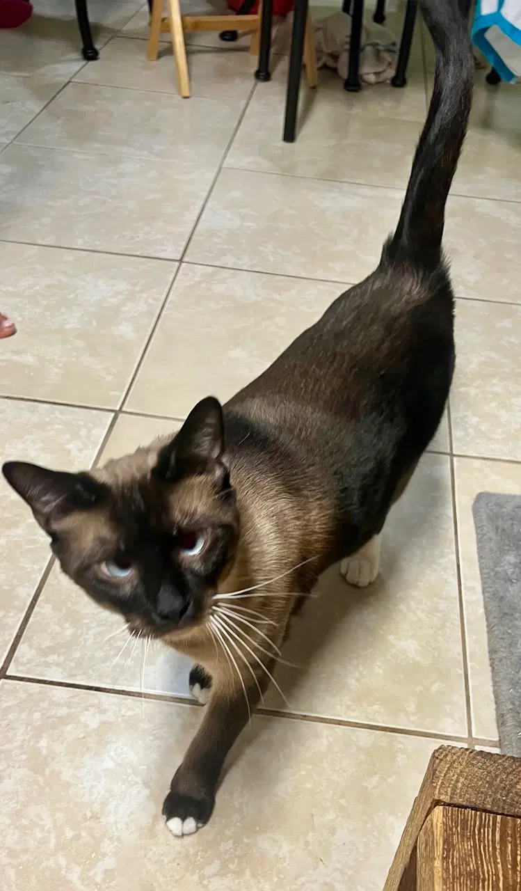 Charlie image 2
