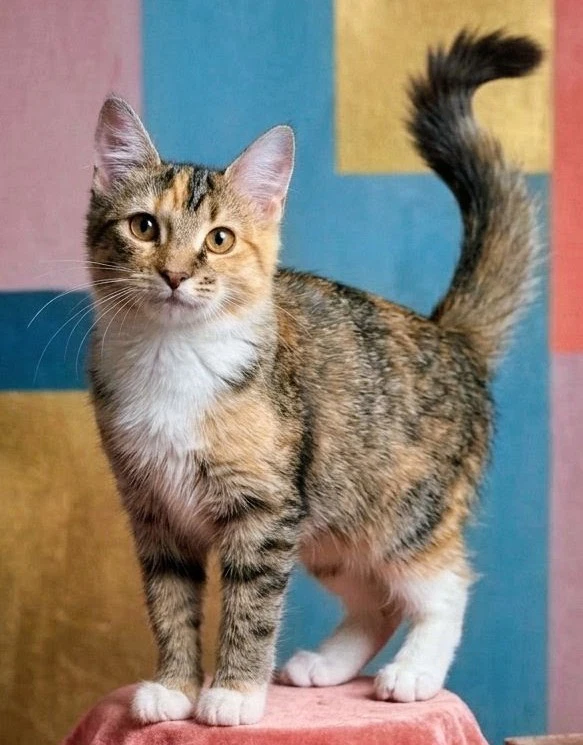 Ella Mae