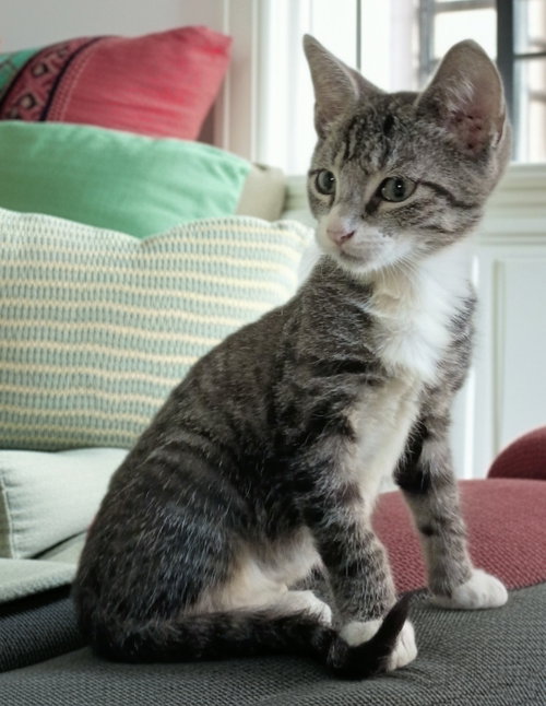 Photo 2 of Neville