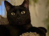 Noa - Photo 1