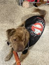 Lily - Photo 3