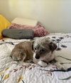Sandi - Photo 1