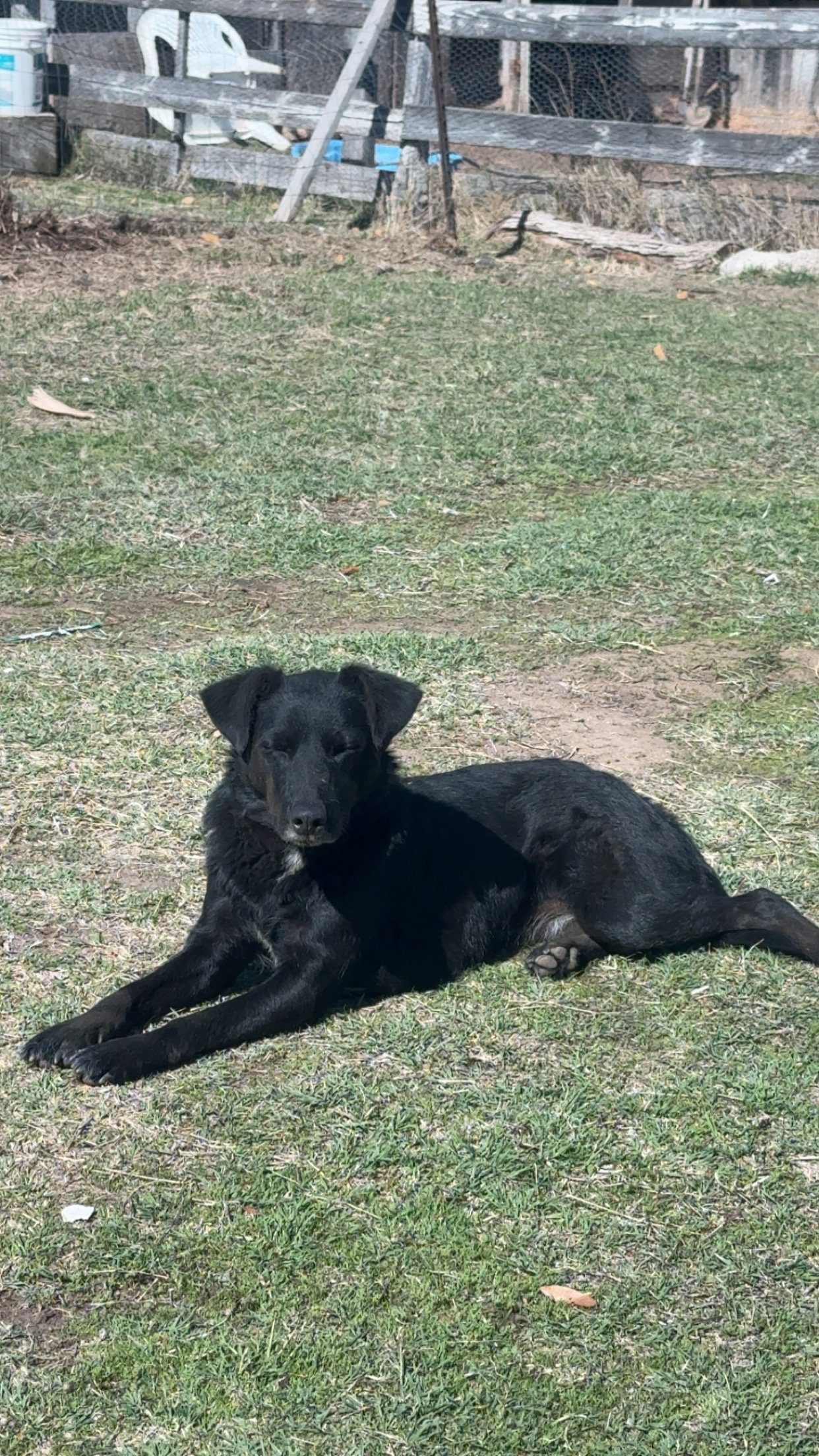 Luna
