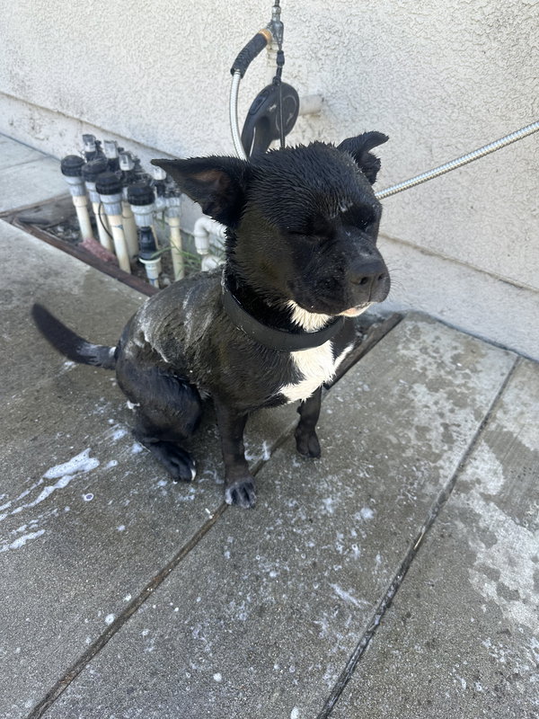 Kiki