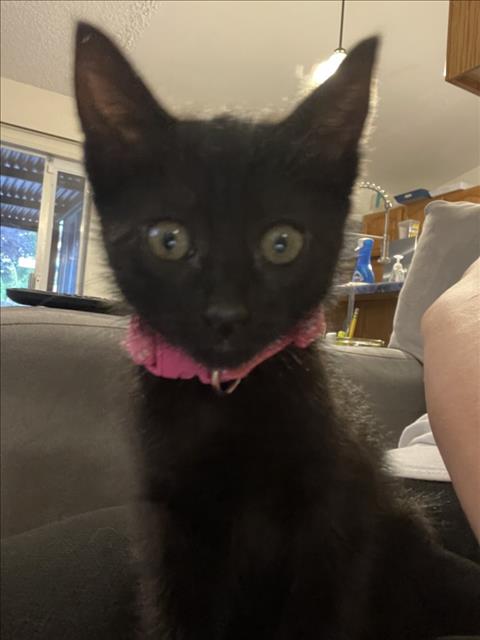 *NYX