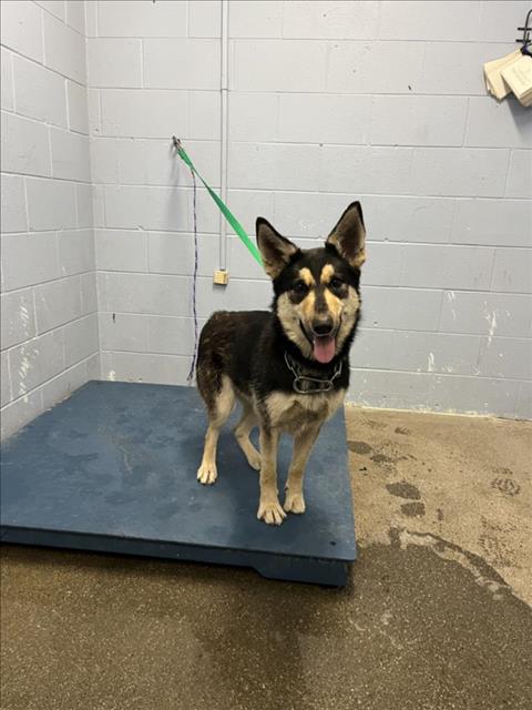LUNA