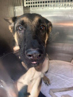 *Topaz
