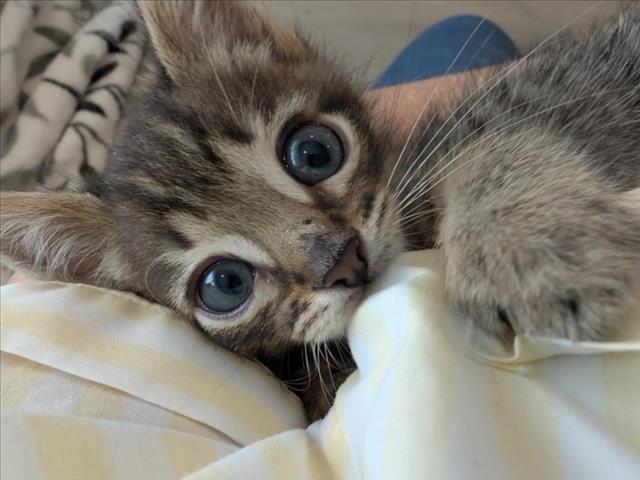 Mr Bright Eyes