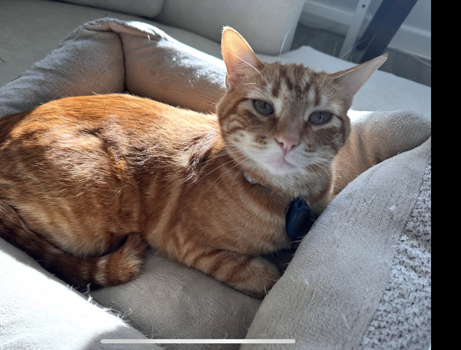 Milo