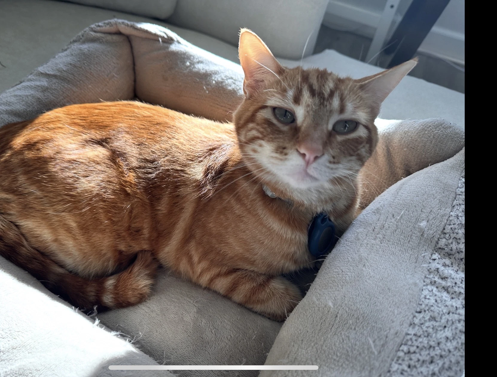 Milo