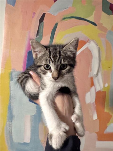 Mitty