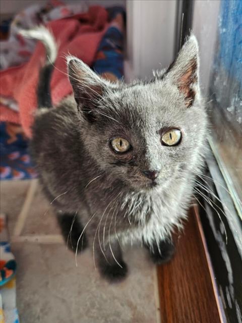 Duncan