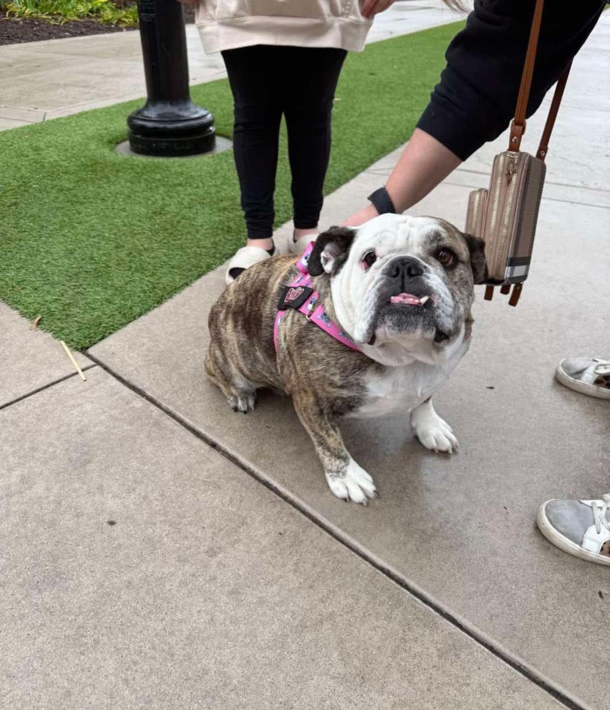 Chloe