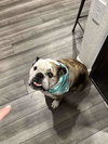 Chloe - Photo 4