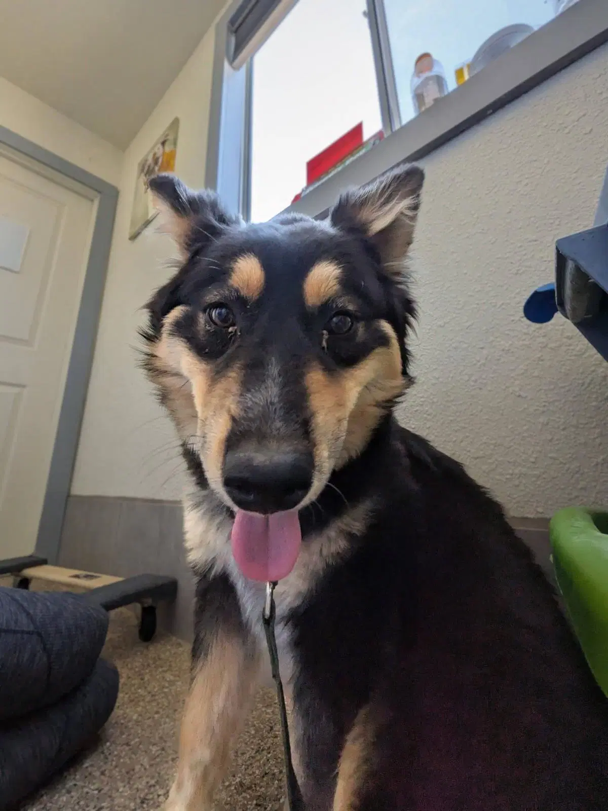 Ayla image 3
