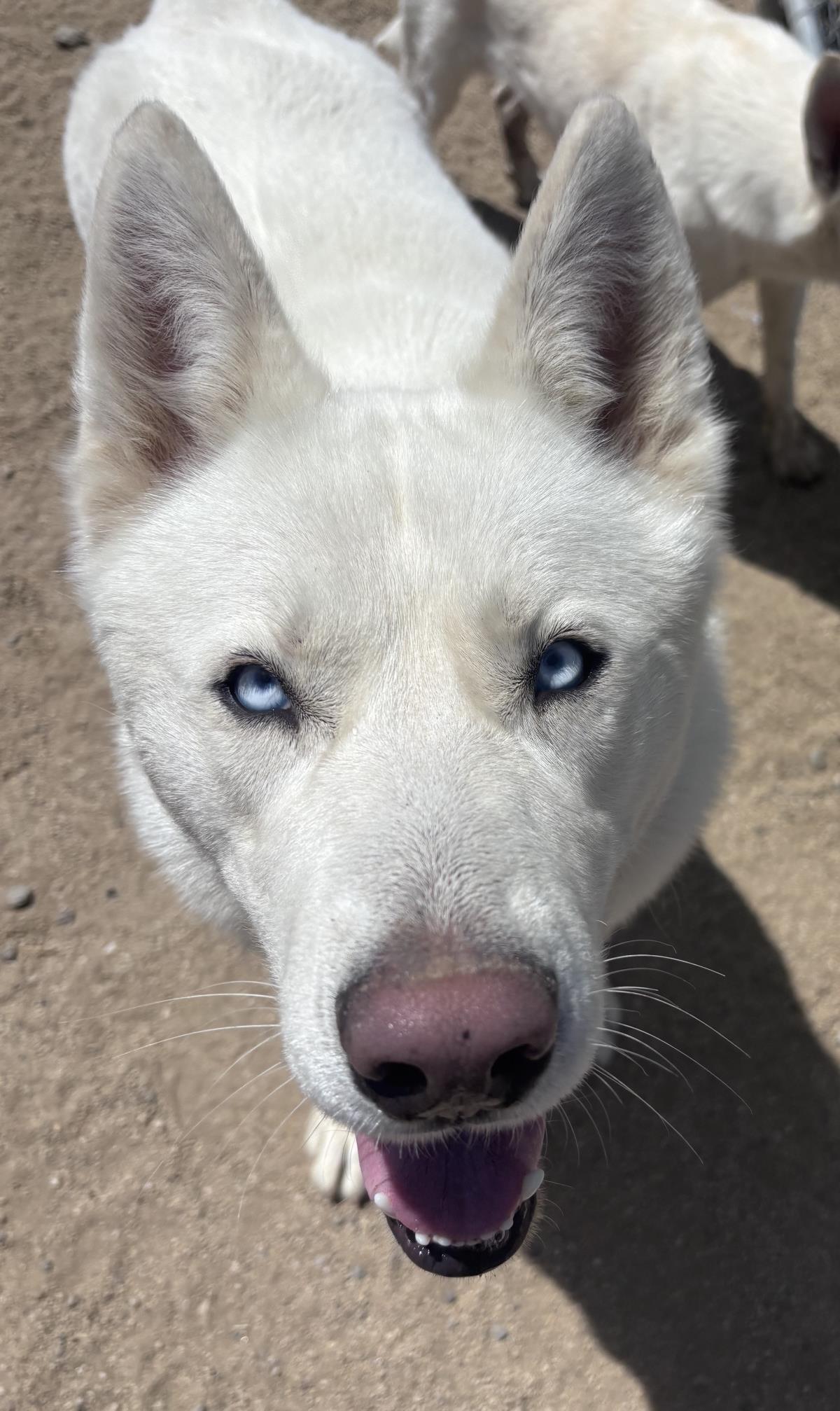 Ghost