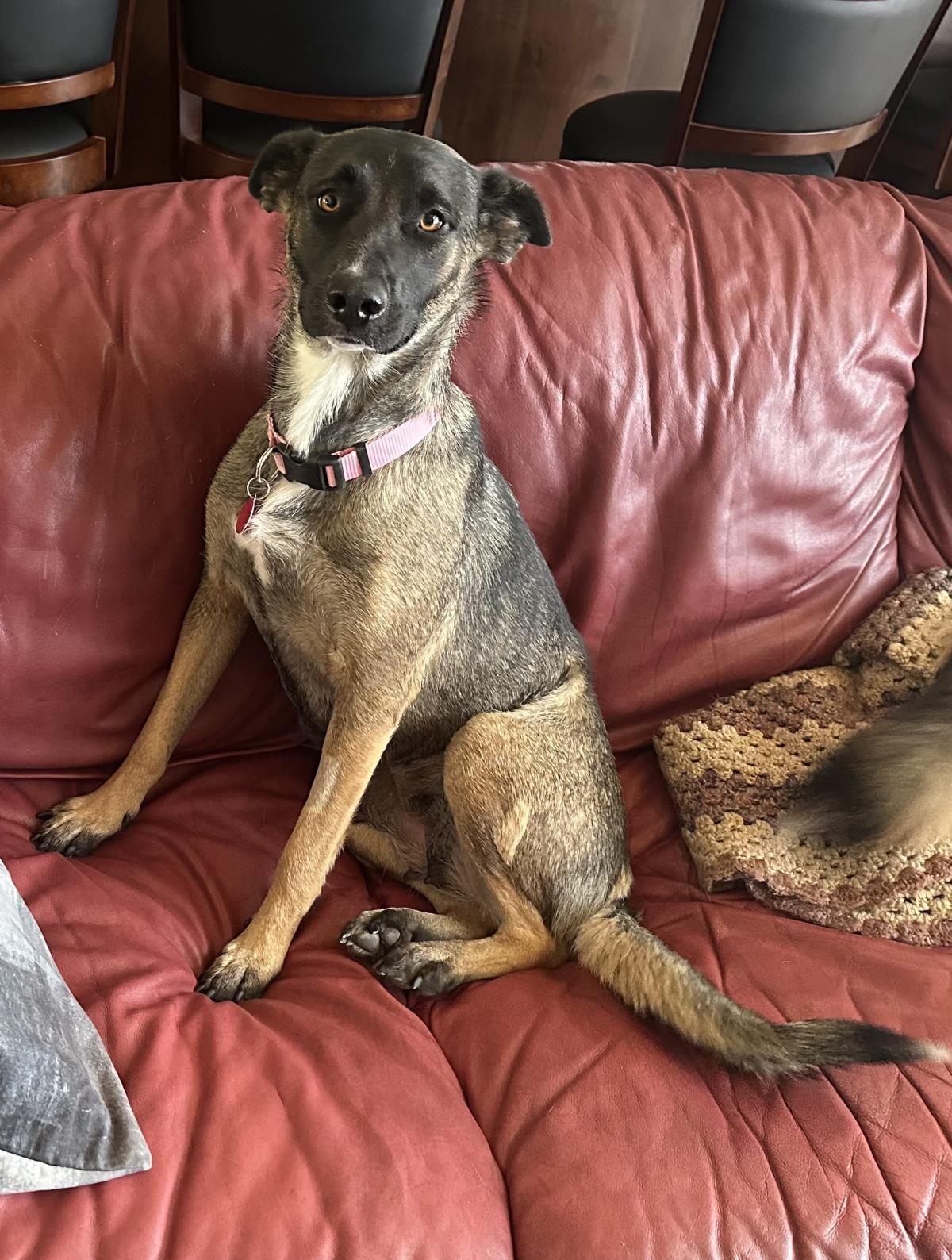 Maggie May