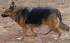 Shila 5055