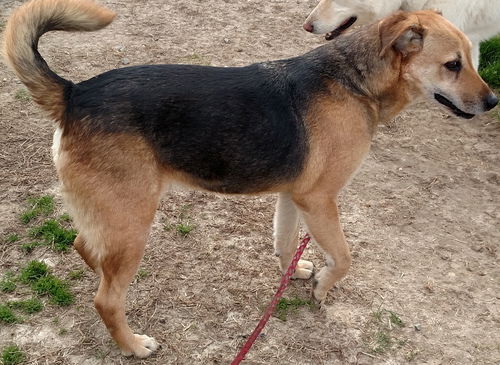 Chico 5065