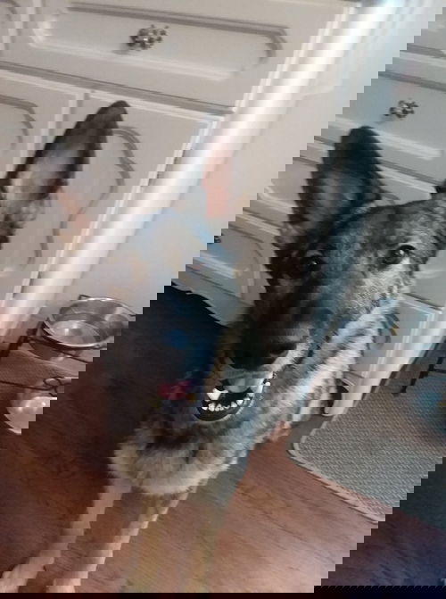 Zoe 5356