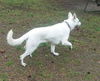 Skyler #5373
