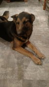 Athena 4736