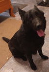Onyx 4972