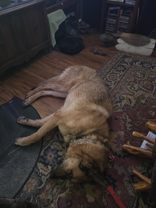 Harvey 4810, photo 11