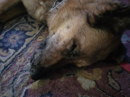 Harvey 4810, photo 12
