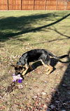 Sully 4877
