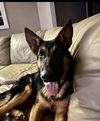 Sully 4877