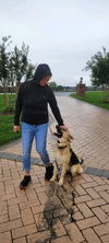 Lady Guinevere 6068