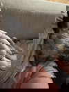 Silkie 6306