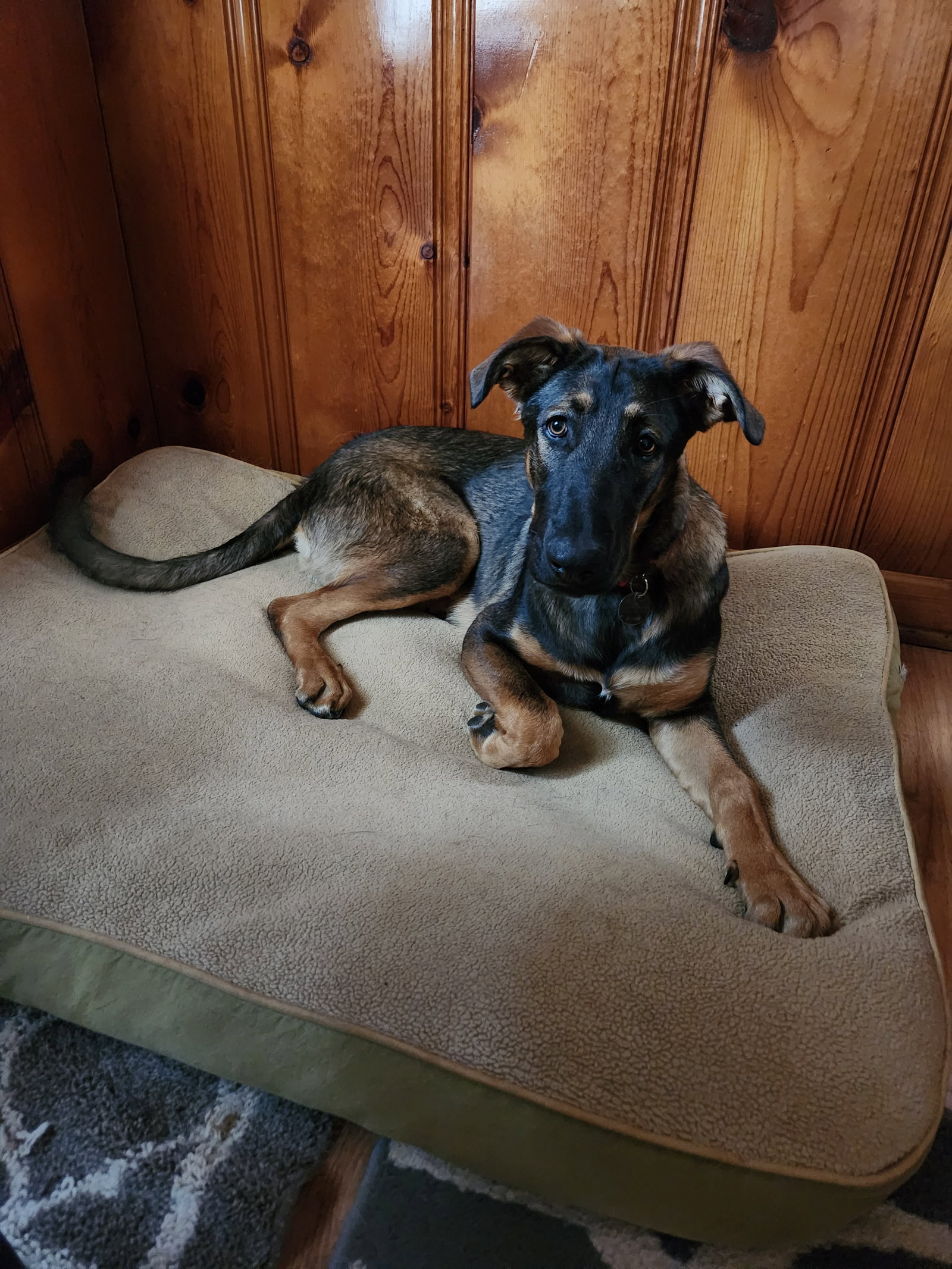 Mimi 6088, photo 4