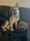 Coco 6719