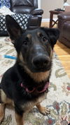 Gwen 6742