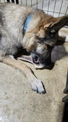 Lola 6758