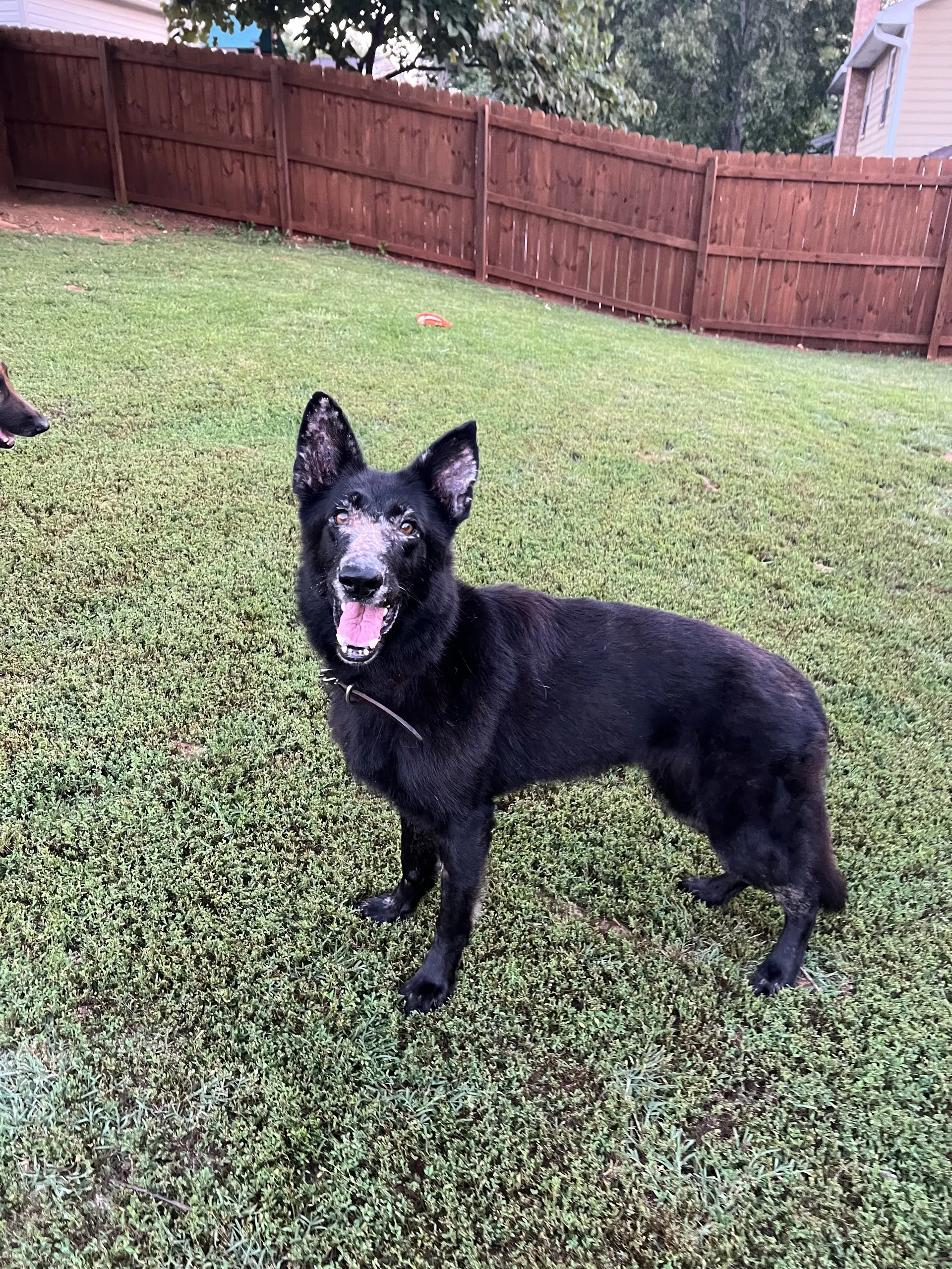 Keiko image 3