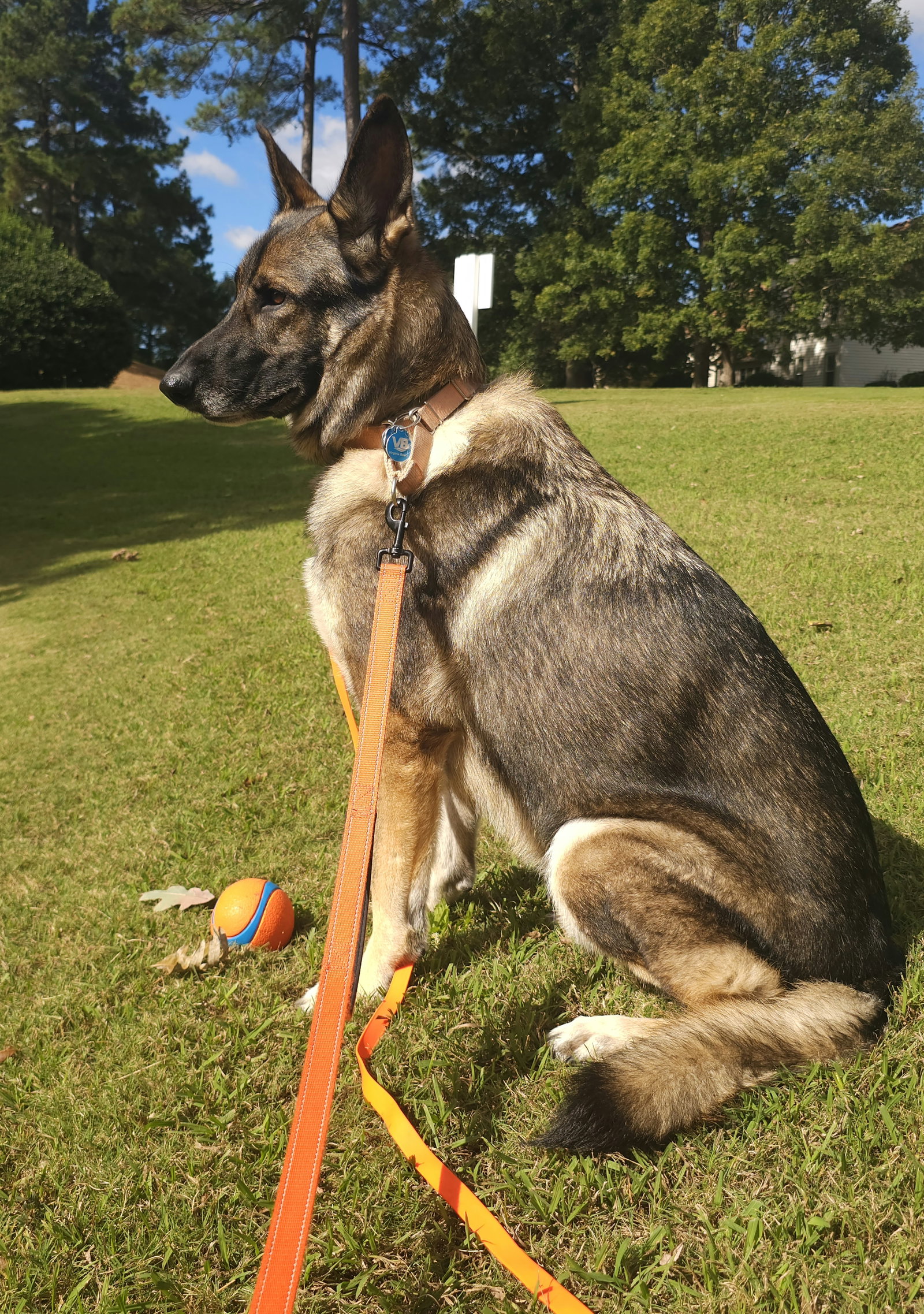 Duke 7431, photo 4