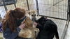 Janou 7279