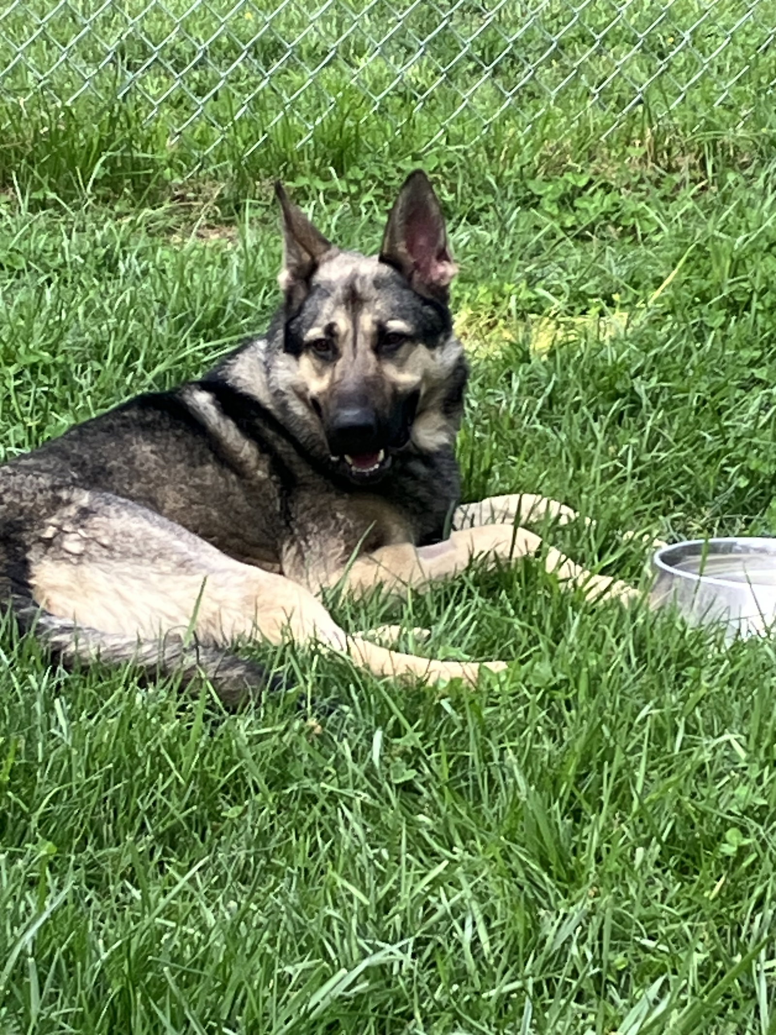 Rocky 6572, photo 9