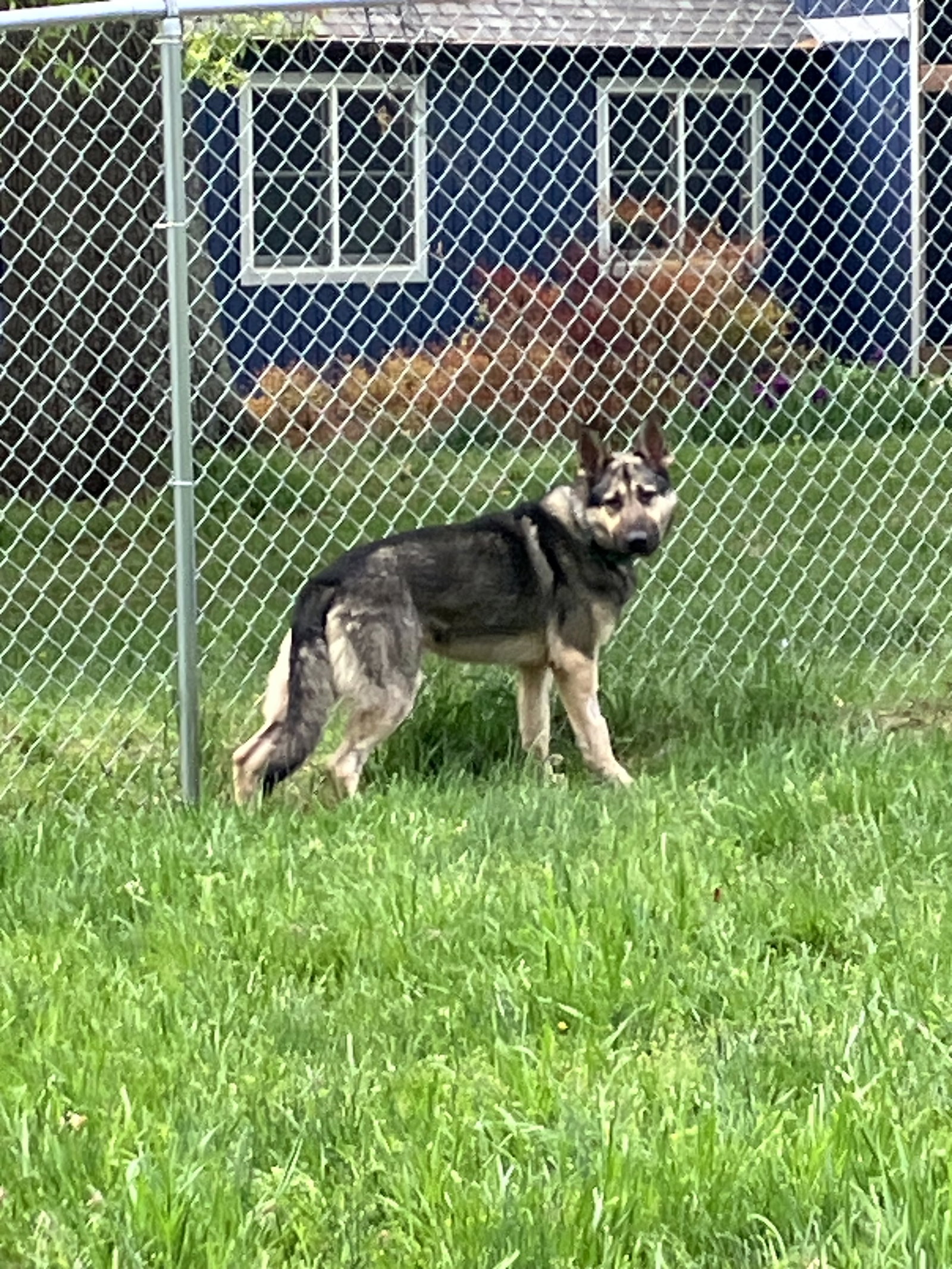 Rocky 6572, photo 10