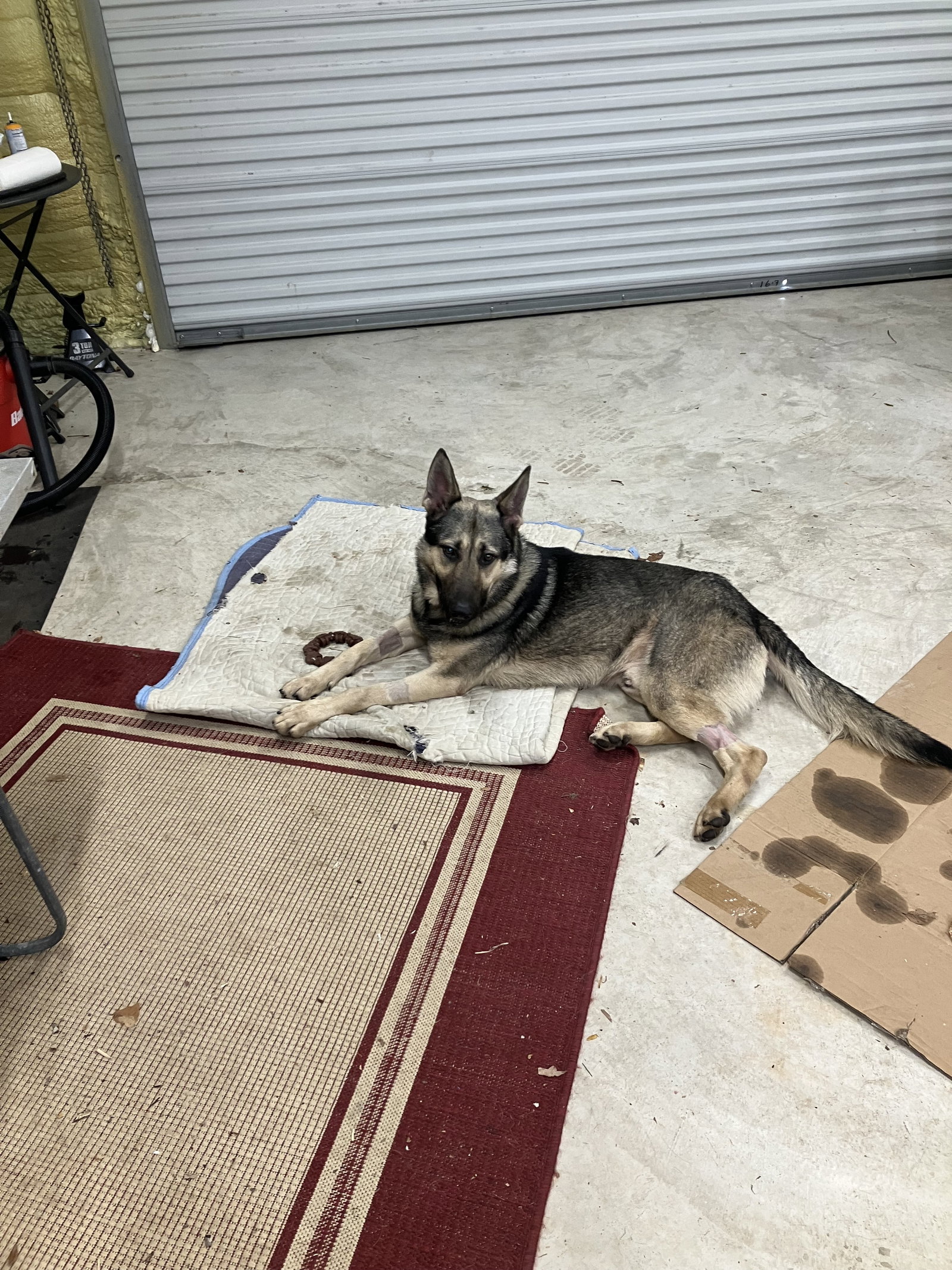 Rocky 6572, photo 11