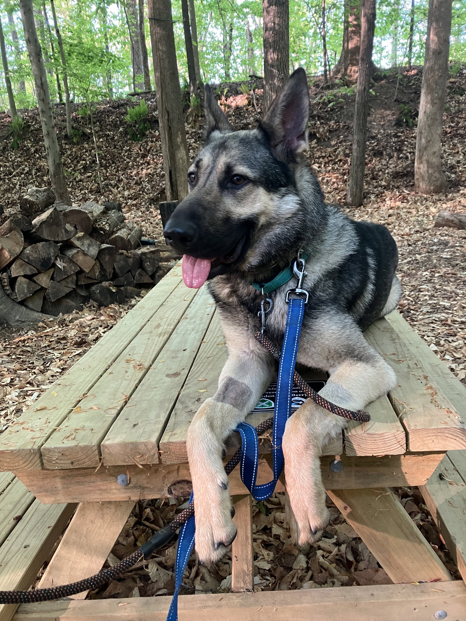 Rocky 6572, photo 2