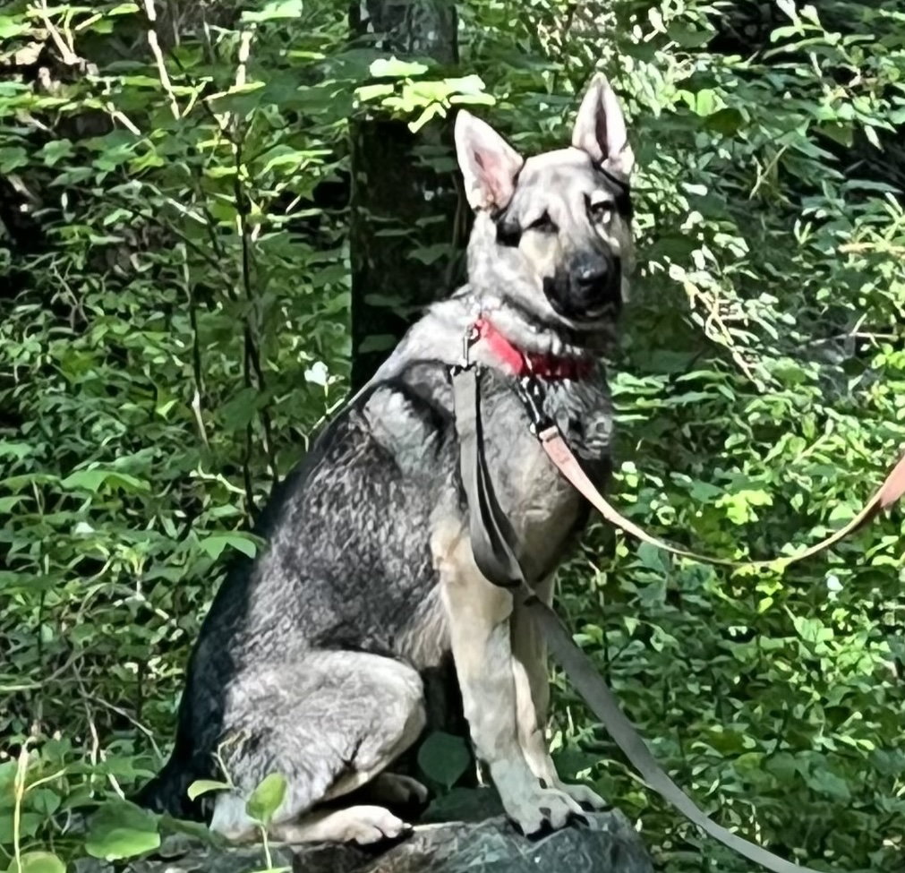 Rocky 6572, photo 5