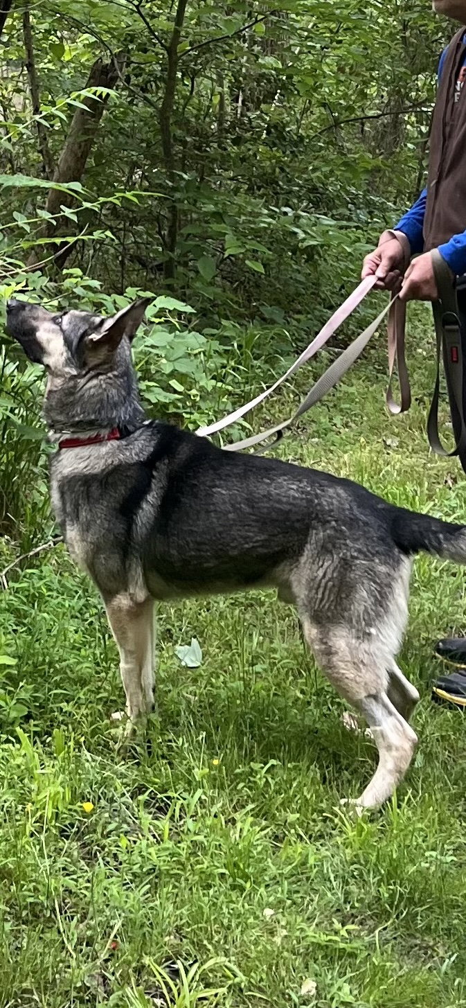 Rocky 6572, photo 6
