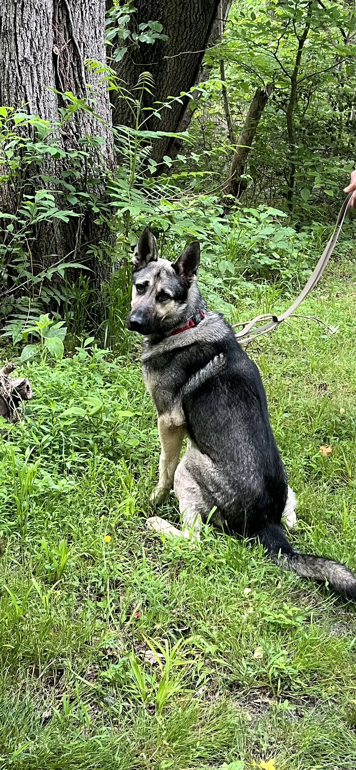 Rocky 6572, photo 7