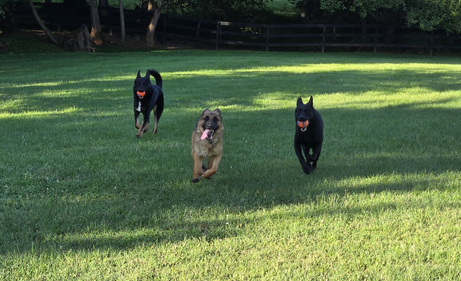 Sophie 7563, photo 5