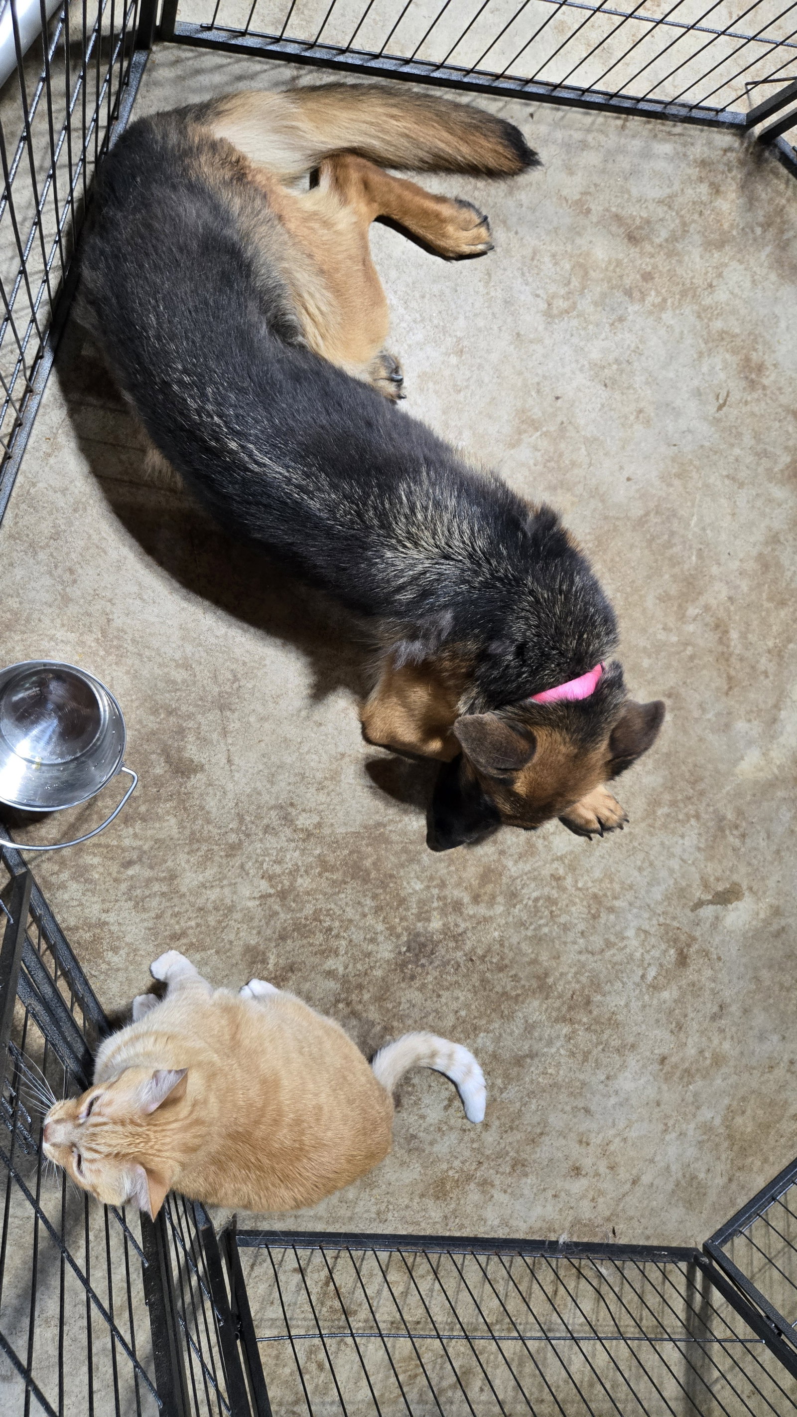 Sophie 7563, photo 8