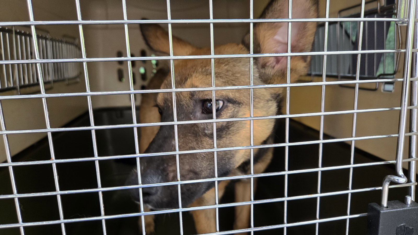 Thor 6582, photo 6